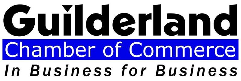 guilderland chamber payroll affinity program