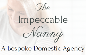 impeccable nanny