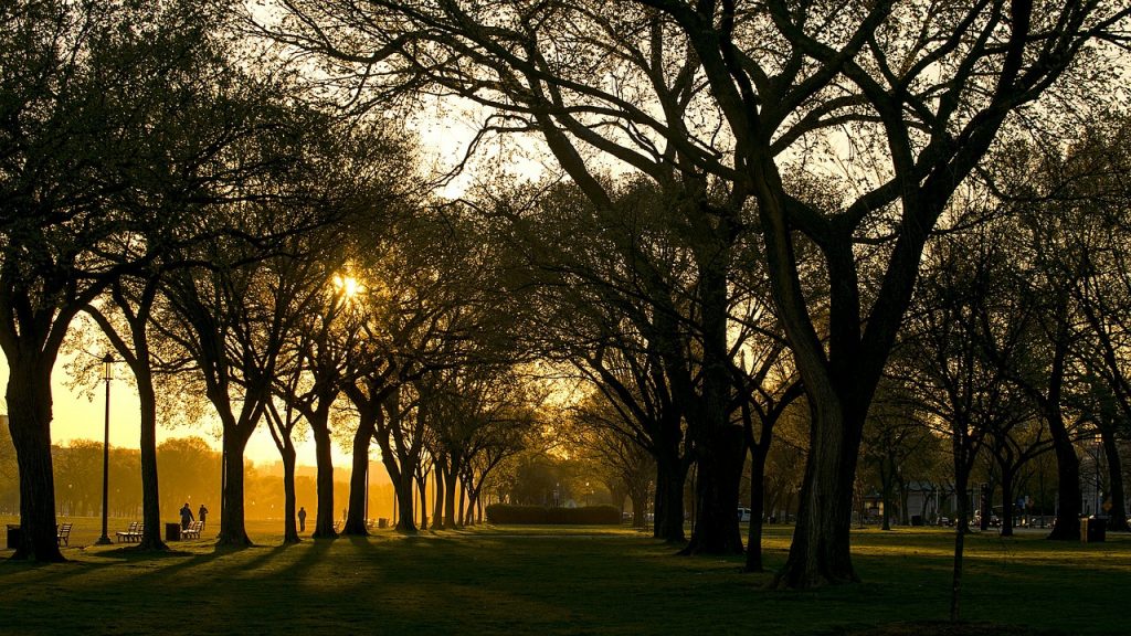 Washington, D.C. Household Employers Required to Comply with Universal Paid Leave